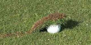 divot on golf ball