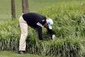 lost golf ball