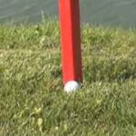 golf ball near stake