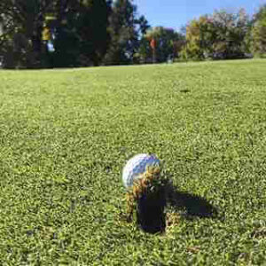 Golf Divot
