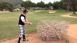 Stroke in Bush