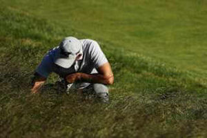 lost golf ball